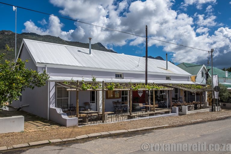 Riebeek Kasteel Western Cape Beans about Coffee